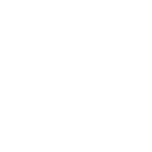 the holston site icon